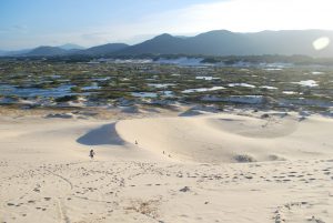 Dunas da Joaquina